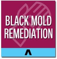 black mold remediation long island