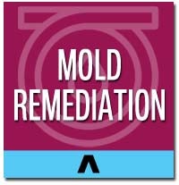 mold remediation long island